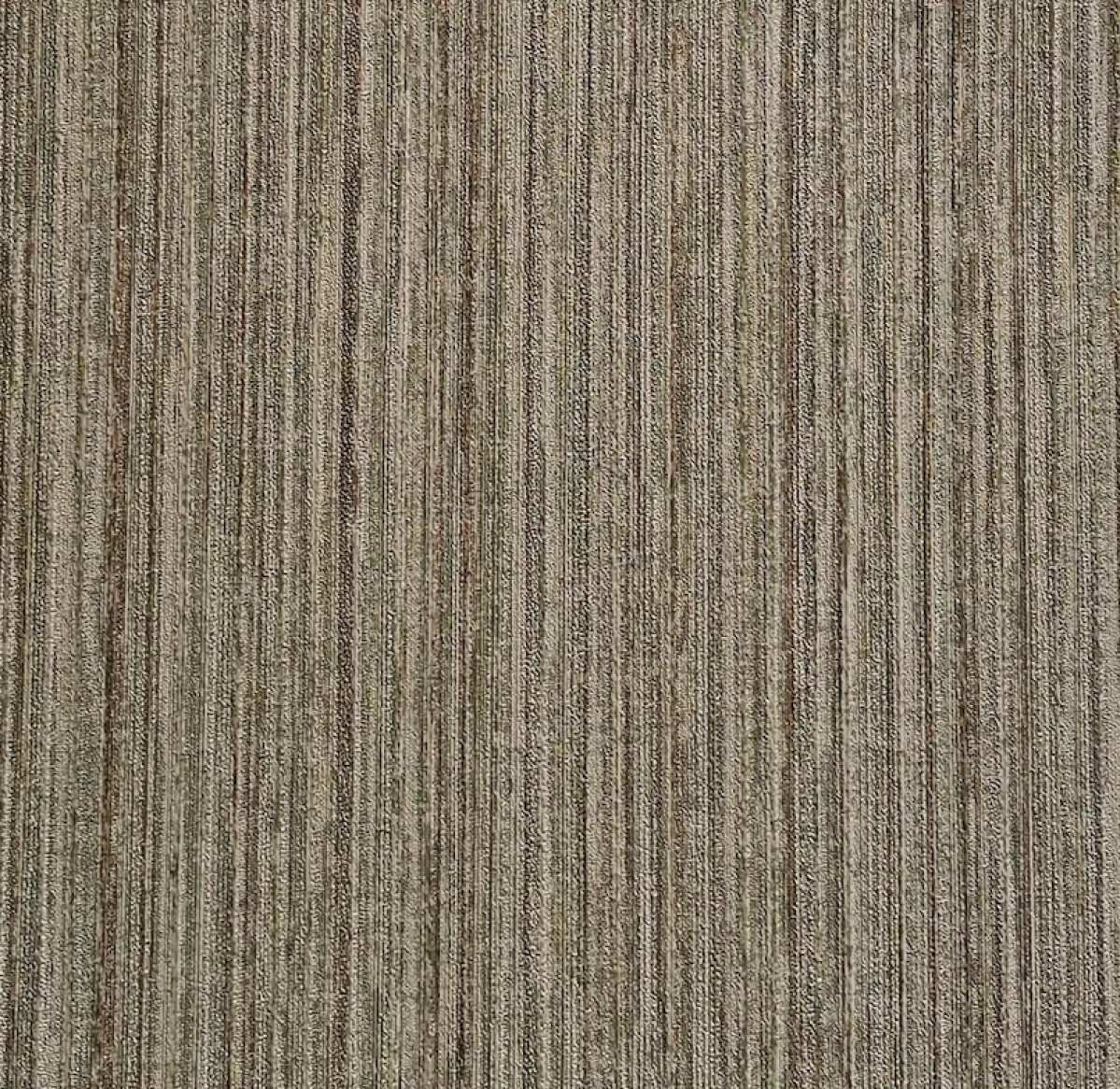 图片28