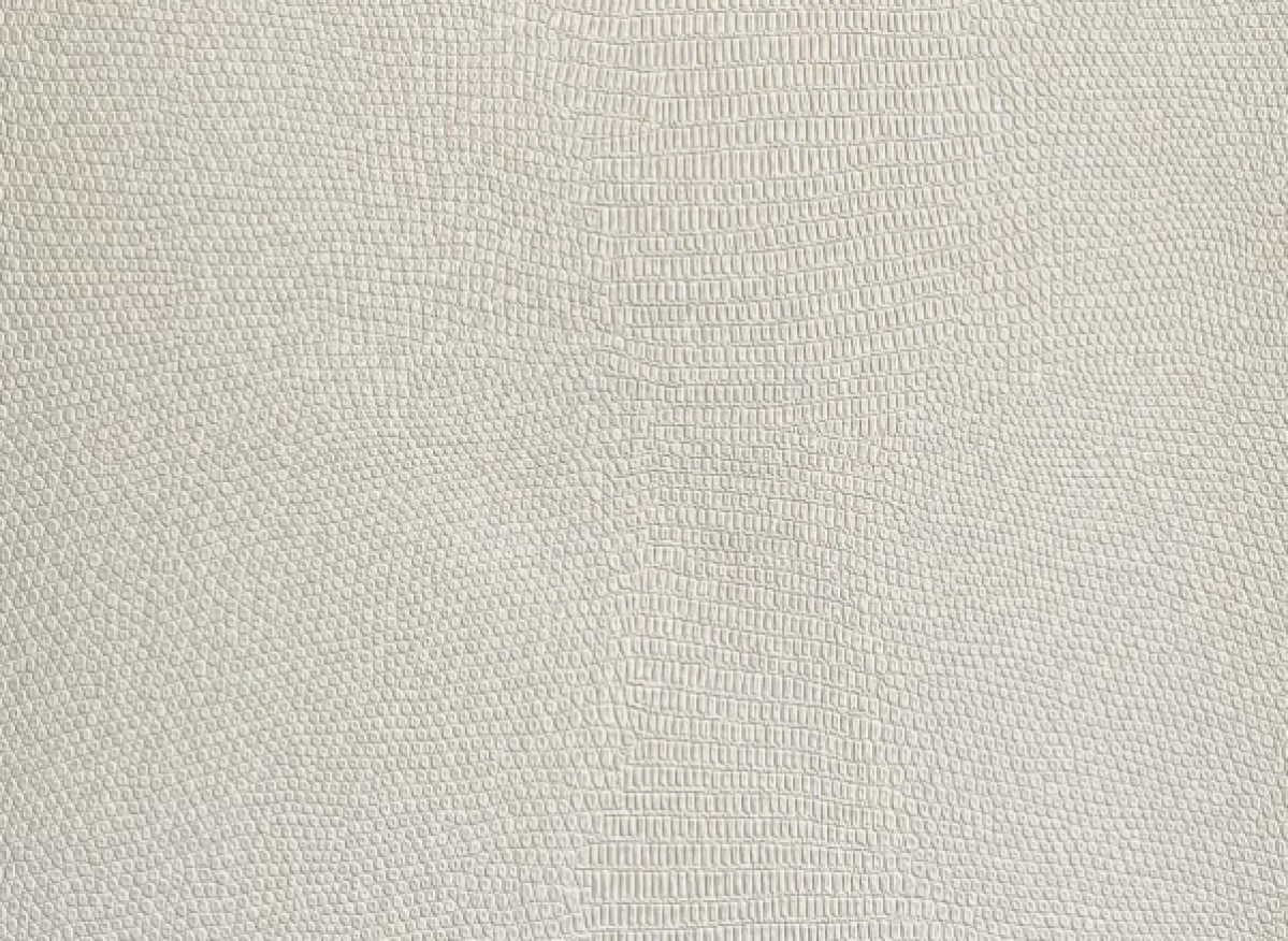 图片0