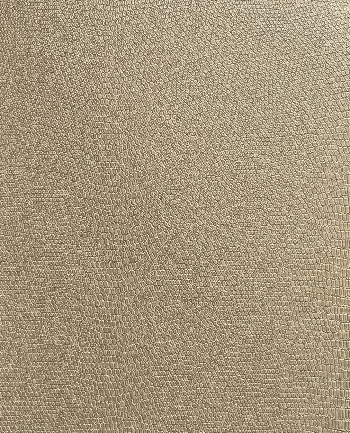 图片8