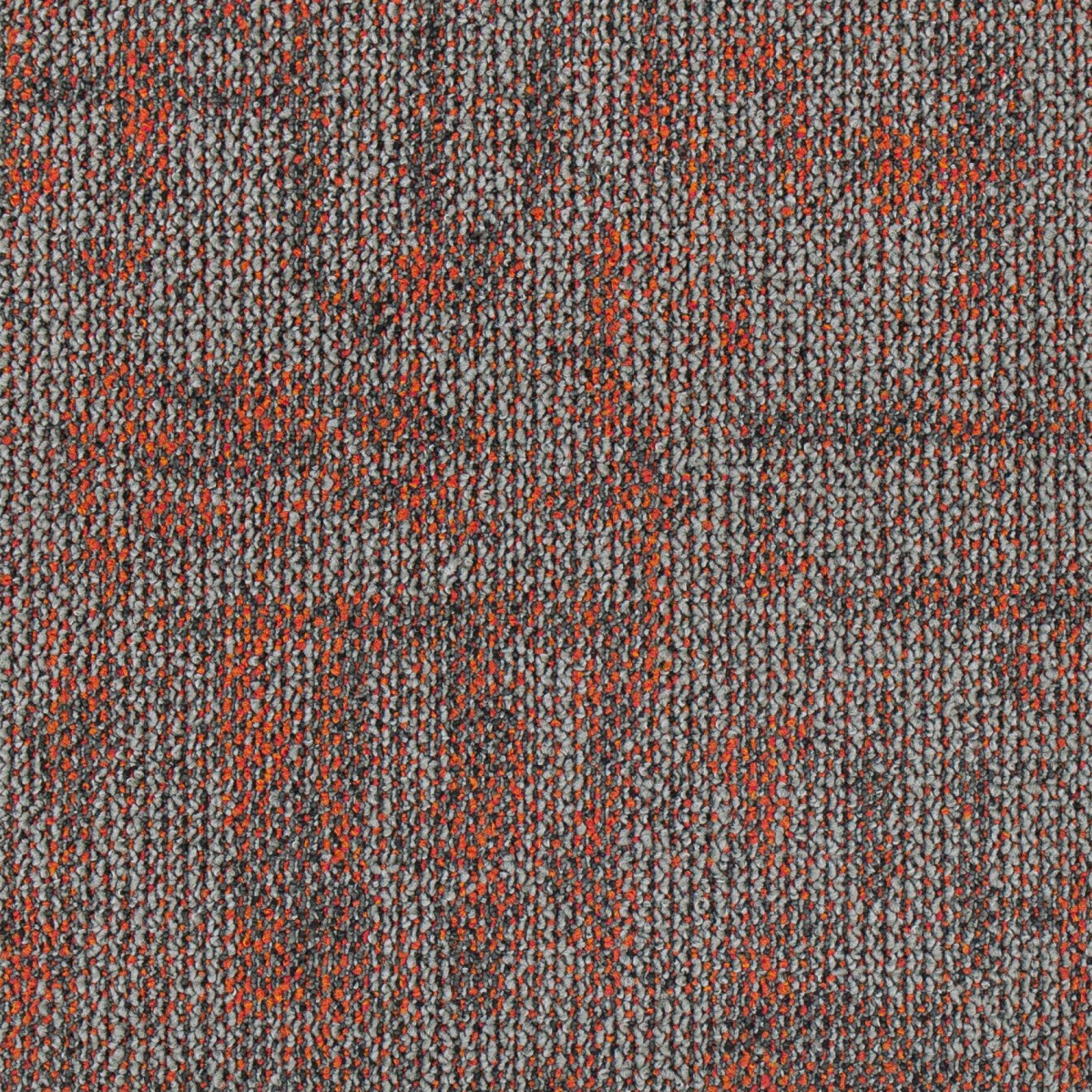 图片7