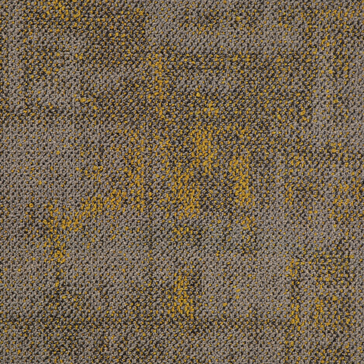 图片7