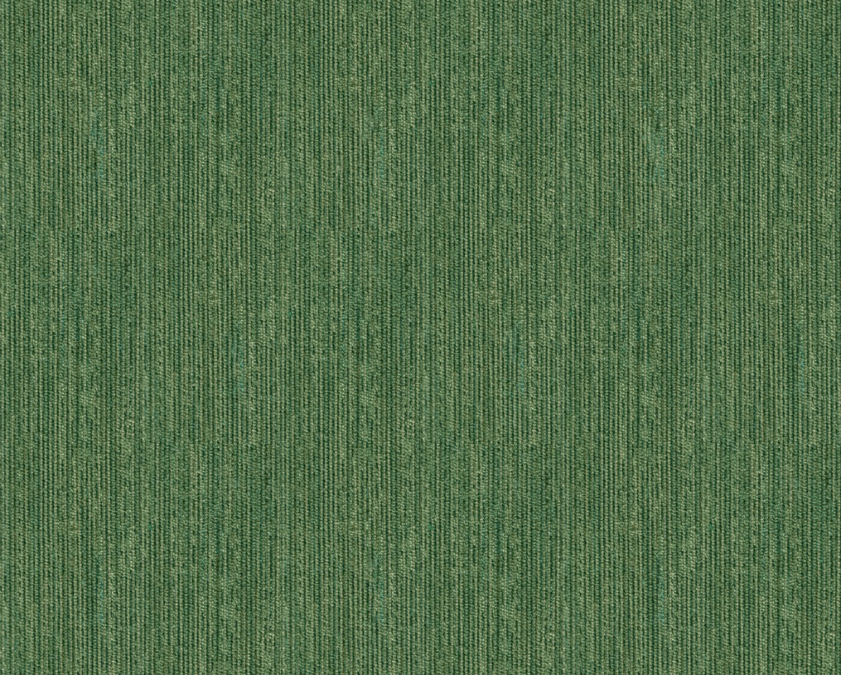 图片13