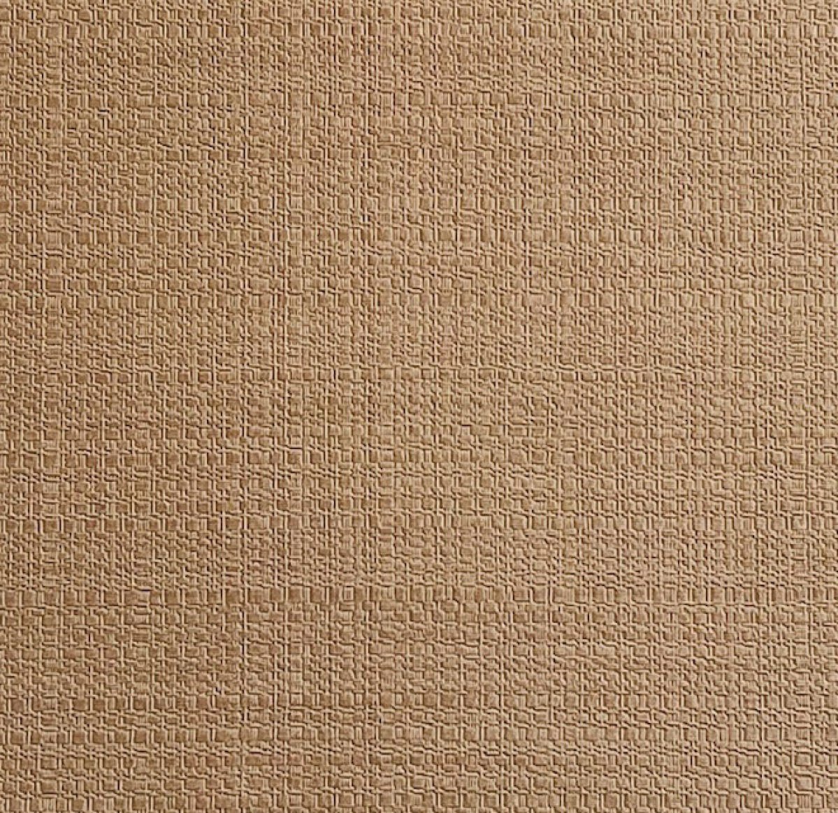 图片31
